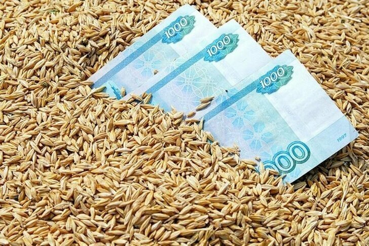 ОЗК заключила первую сделку на поставку в Турцию российского зерна за рубли