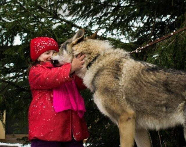 Фотоподборка со всякими зверушками