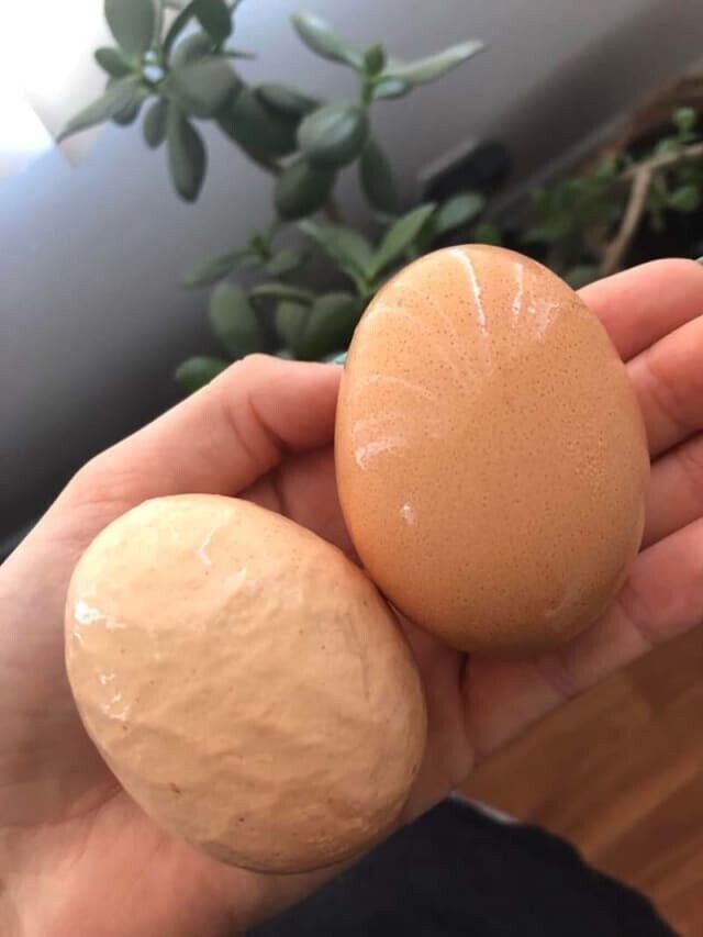 Сморщенное яйцо