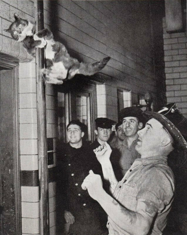Котик пожарных на тренировке. США, 1955