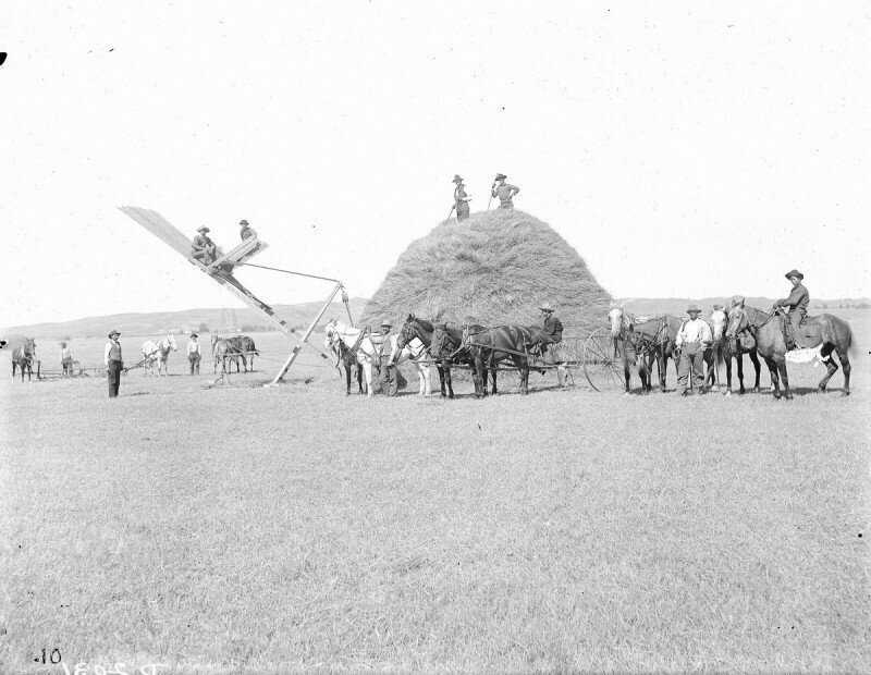 Укладка сена, штат Небраска, США. 1903