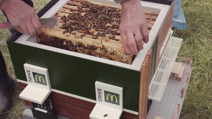 "Макдональдс" построил отели для пчел на своих билбордах