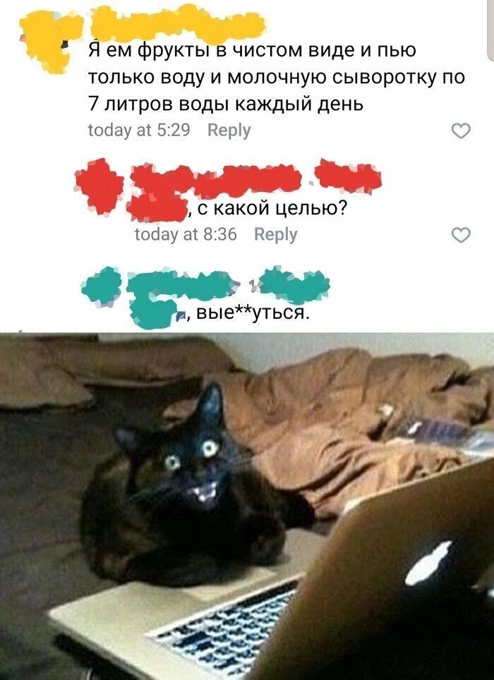 Скрины из социальных сетей