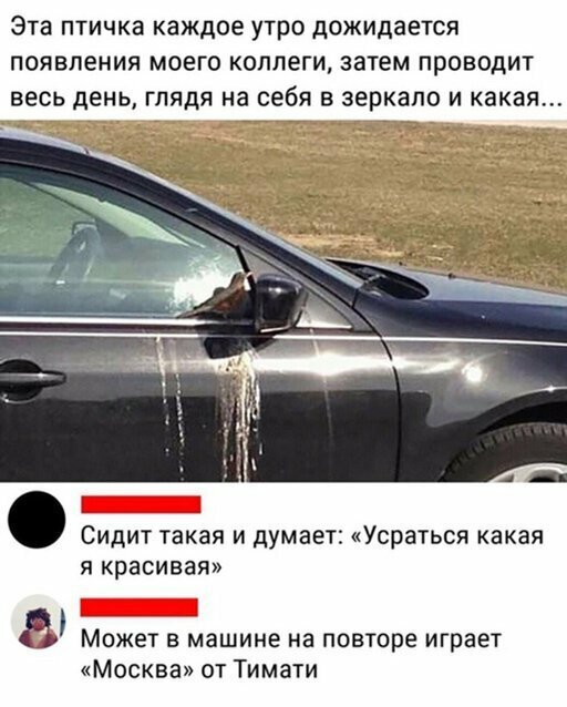 Прикольные и смешные картинки