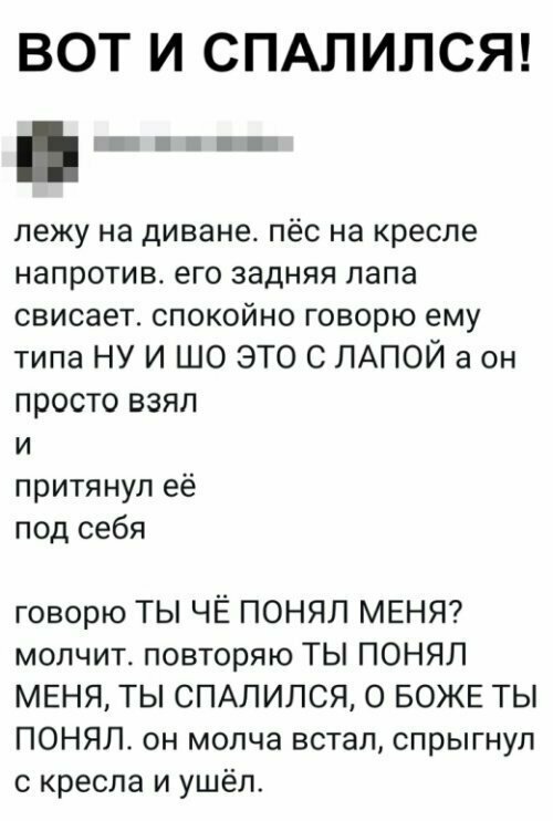 Картинки с надписями