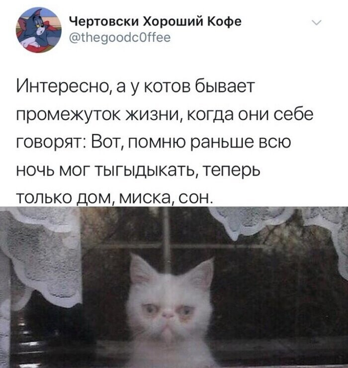 Намешал