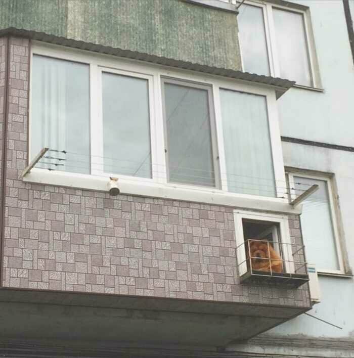 Кто тут имеет своё собственное окошко на балконе?