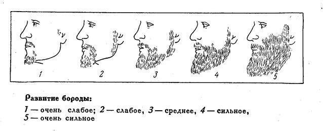 Причины неравномерного роста бороды