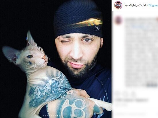 Самый татуированный кот России сбежал от хозяина