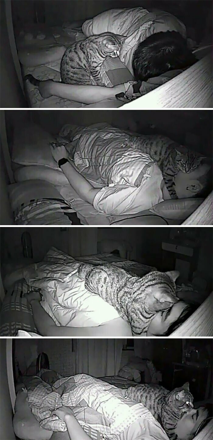 7. Парень поставил камеру рядом с кроватью, чтобы узнать, что делает его кот ночью