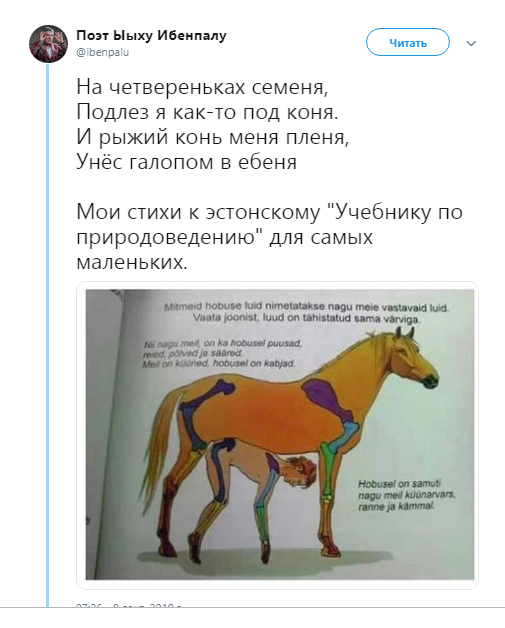 Политические картинки