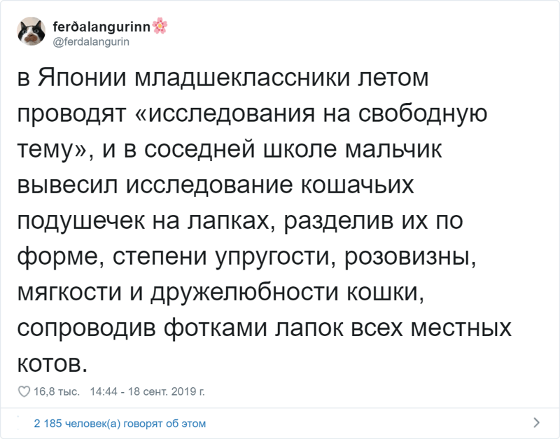 Девушка из России живёт в Японии и рассказывает об этой стране так, как не сумеет ни один гид