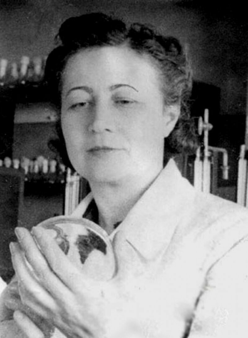 Зинаида Виссарионовна Ермольева (1898-1974)