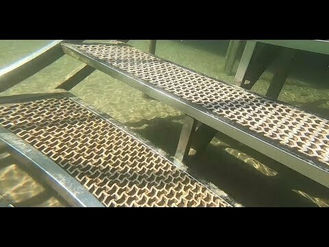 Гость из Будущего. Часть 1. Прибытие 