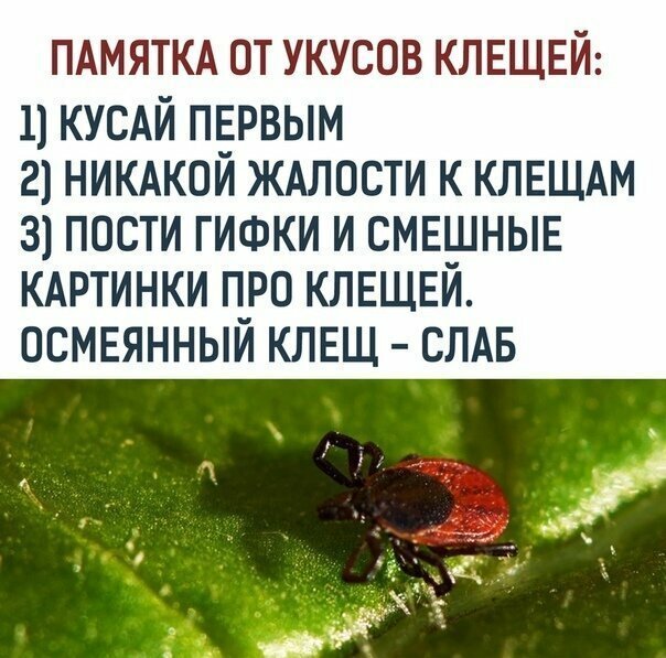 Открытки из коллекции. Часть 6