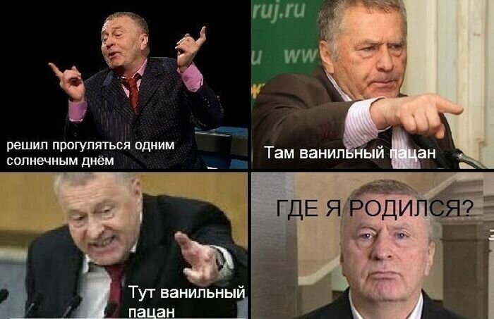 Подборка мемов с Жириновским
