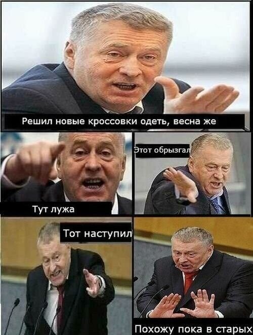 Подборка мемов с Жириновским