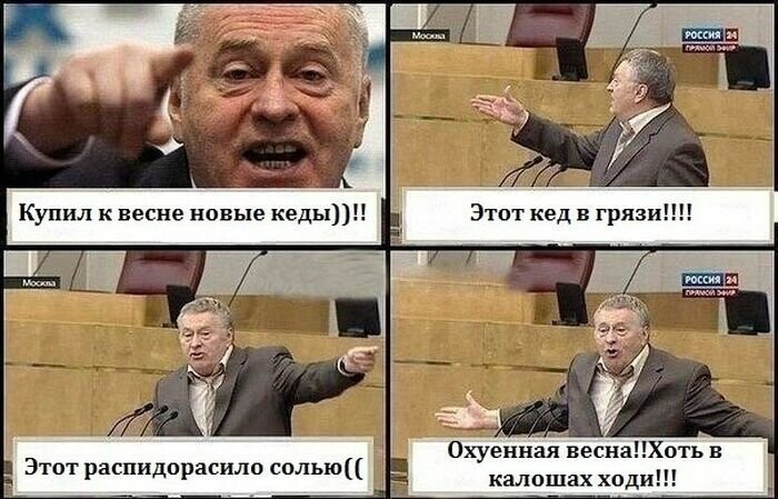 Подборка мемов с Жириновским