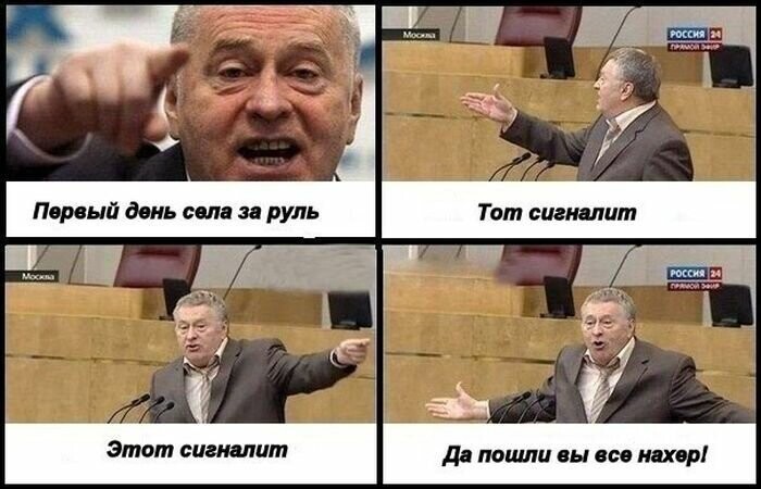 Подборка мемов с Жириновским