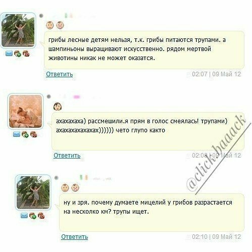 Ужасы нашего городка