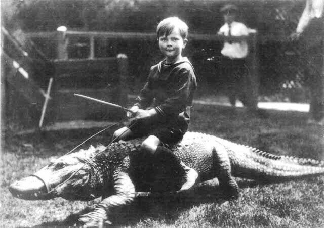 Как американские дети с аллигаторами играли