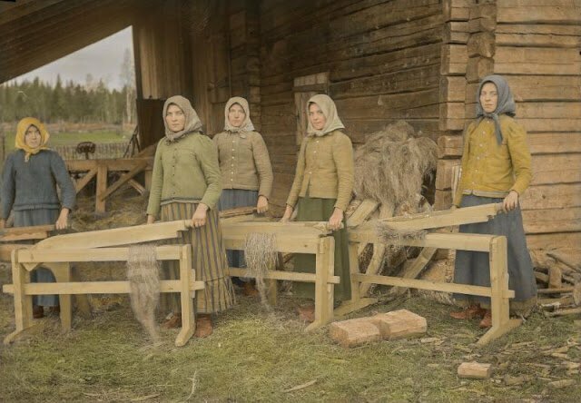 Переработка льна в деревне Пёртом в Остроботнии (шведоязычная область в Финляндии), 1912 г.