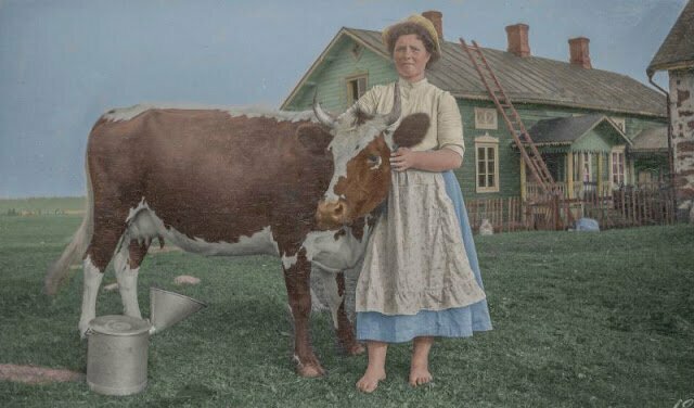 Женщина и корова, 1910 г.