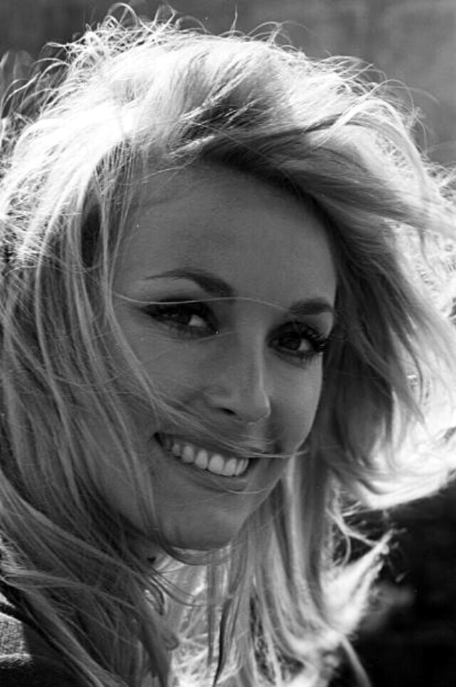 Великолепная дебютантка: Шэрон Тейт в 1965 году