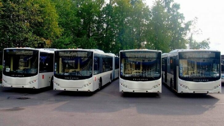 В петербургский автопарк поступили 20 двухсекционных автобусов марки Volgabus