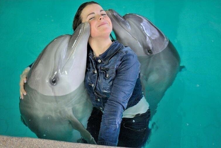 Дельфиньи обнимашки