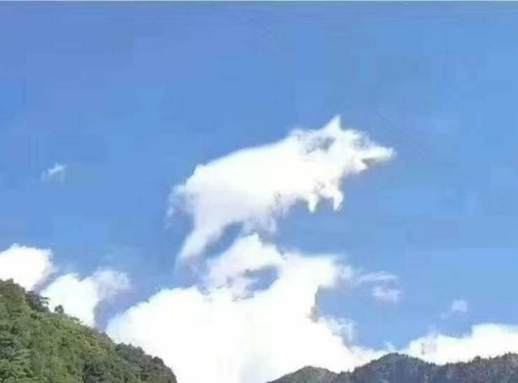 Свинка из облаков