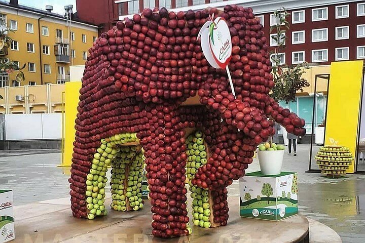 В День города жители Ставрополя съели слона и обглодали крону дерева