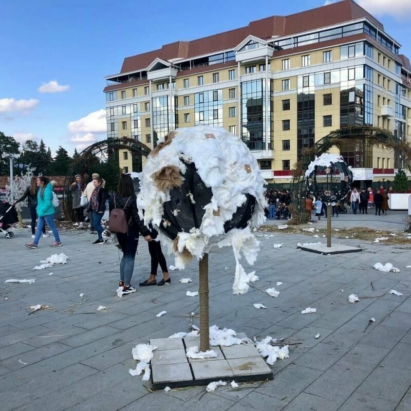 В День города жители Ставрополя съели слона и обглодали крону дерева