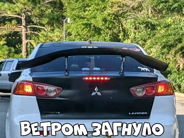 Автовсячина