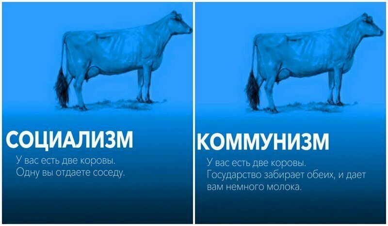 Как коммунисты коров забирали