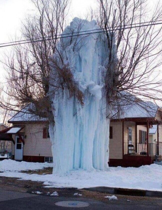 Мороз и прорвавшийся гидрант отправили дерево в мир сказок