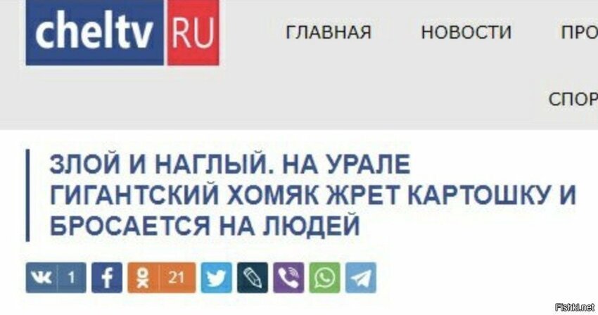 Солянка