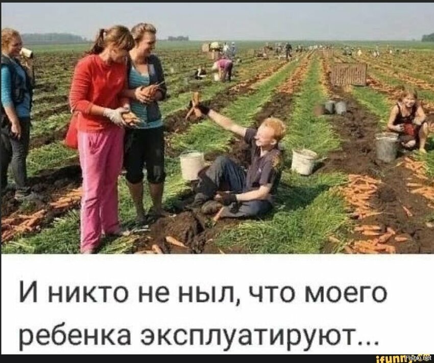 Солянка