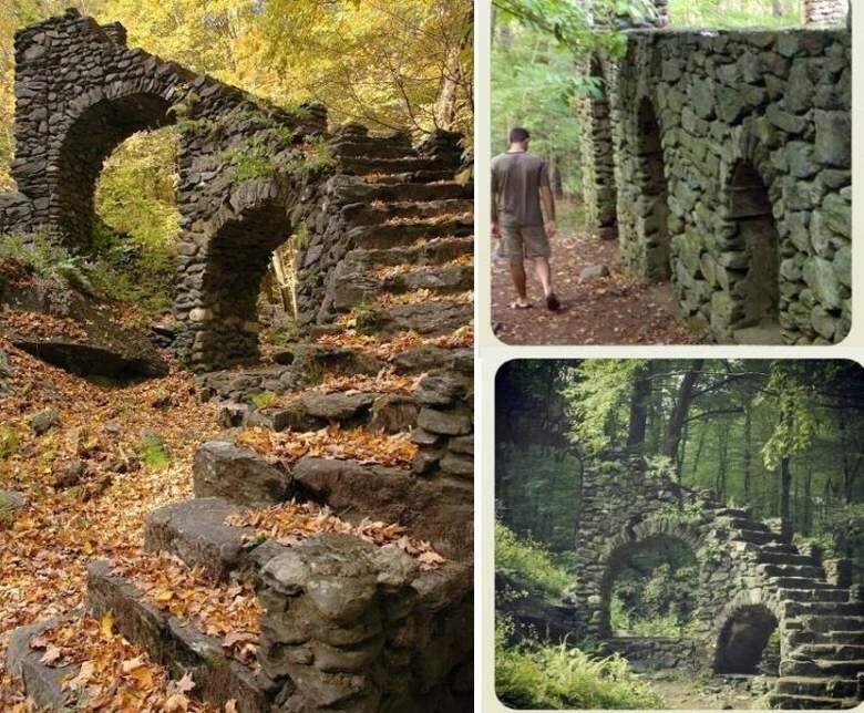 Загадочные лестницы, затерянные в лесных дебрях