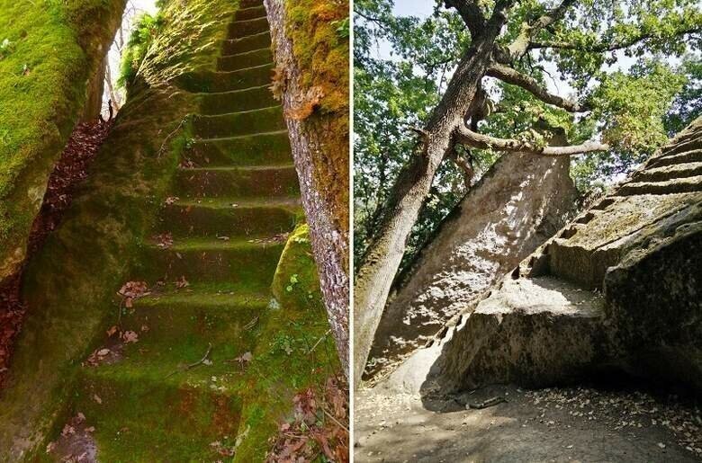 Загадочные лестницы, затерянные в лесных дебрях