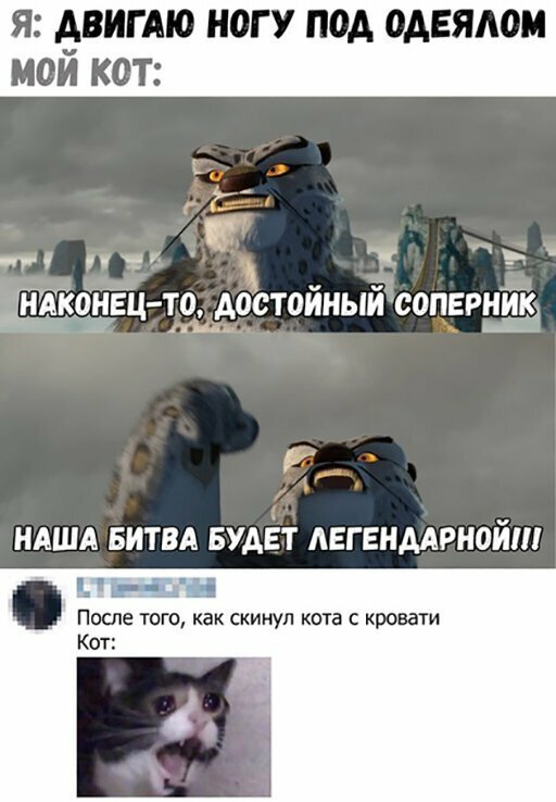 Прикольные и смешные картинки