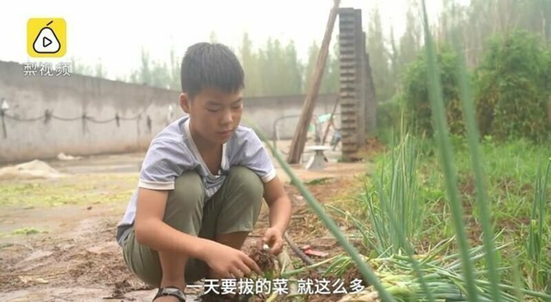 Мальчик выращивает и продает лук, чтобы спасти младшего брата