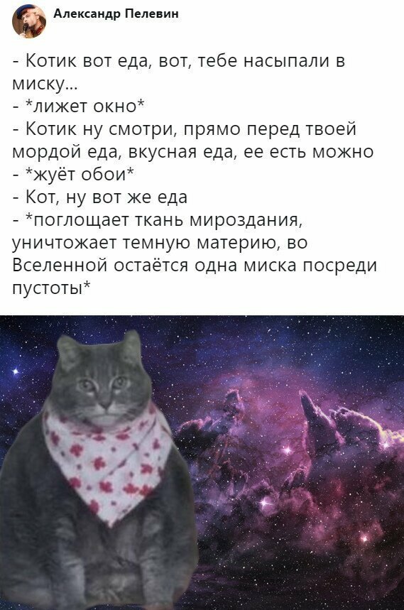 Скрины из социальных сетей