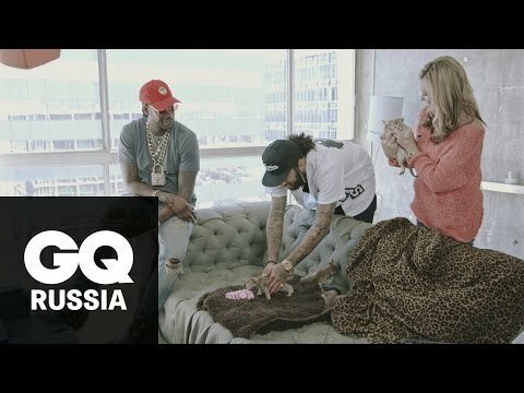 Самые дорогие вещи в мире: котята за $165 000 