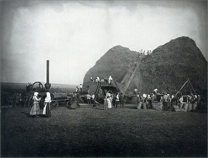 Молотьба в поле,  имение князя Ю. Кенига. 1910-е.