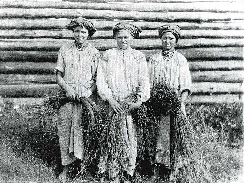 Крестьянские девушки дергают лен