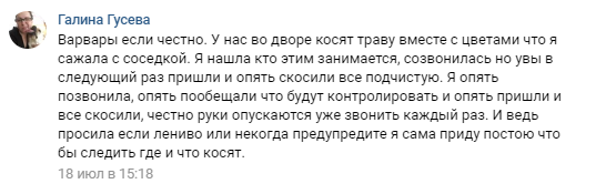 Вороватая семейка – как «макаровские» превратили Петроградку в источник сверхдоходов