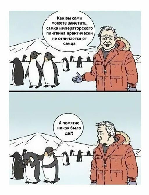 Прикольные и смешные картинки