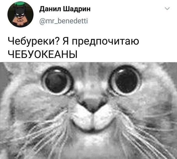 Скрины из социальных сетей