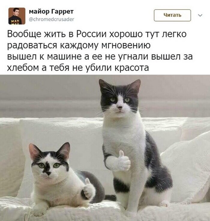 Скрины из социальных сетей